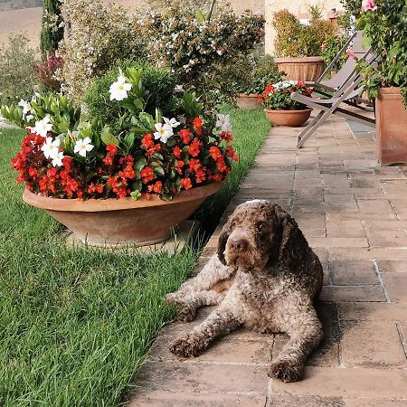 Le Logge Ritrovate Bed & Breakfast Acquasparta Bagian luar foto