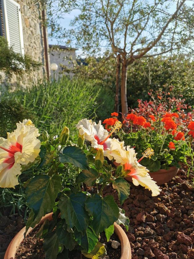 Le Logge Ritrovate Bed & Breakfast Acquasparta Bagian luar foto